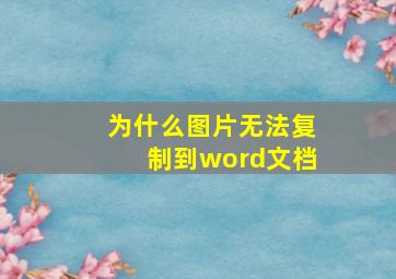 为什么图片无法复制到word文档