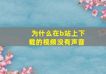 为什么在b站上下载的视频没有声音