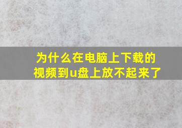 为什么在电脑上下载的视频到u盘上放不起来了