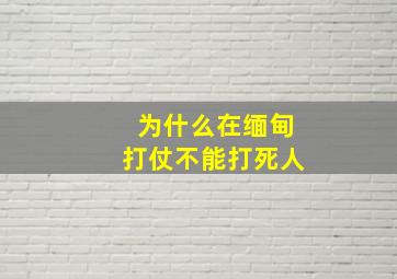 为什么在缅甸打仗不能打死人