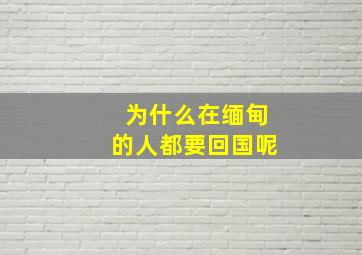 为什么在缅甸的人都要回国呢