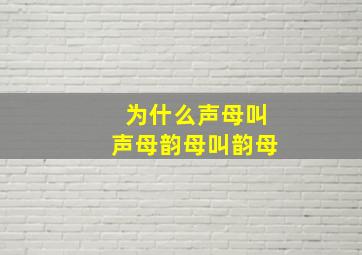 为什么声母叫声母韵母叫韵母