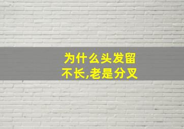 为什么头发留不长,老是分叉