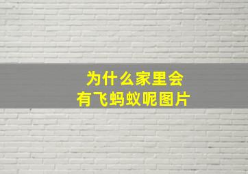 为什么家里会有飞蚂蚁呢图片