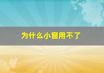 为什么小窗用不了