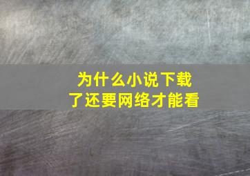 为什么小说下载了还要网络才能看