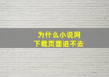 为什么小说网下载页面进不去