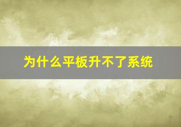 为什么平板升不了系统