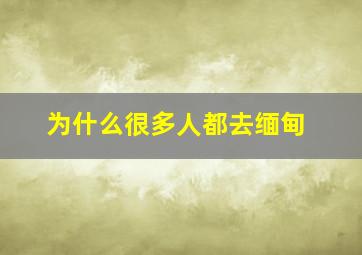 为什么很多人都去缅甸