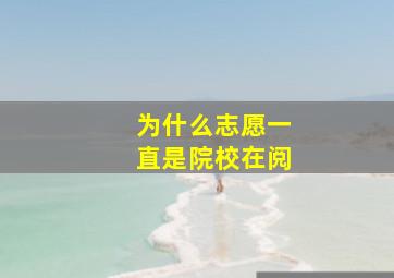 为什么志愿一直是院校在阅