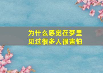 为什么感觉在梦里见过很多人很害怕