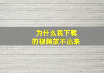 为什么我下载的视频放不出来