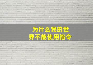 为什么我的世界不能使用指令