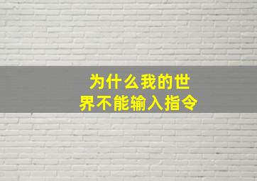 为什么我的世界不能输入指令