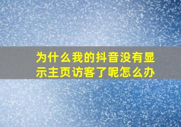 为什么我的抖音没有显示主页访客了呢怎么办