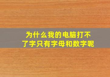 为什么我的电脑打不了字只有字母和数字呢