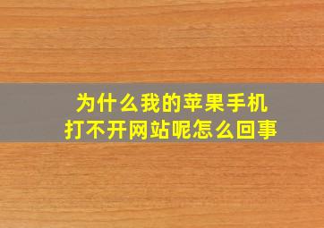 为什么我的苹果手机打不开网站呢怎么回事