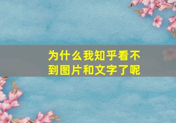 为什么我知乎看不到图片和文字了呢