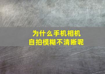 为什么手机相机自拍模糊不清晰呢