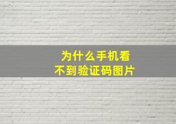 为什么手机看不到验证码图片