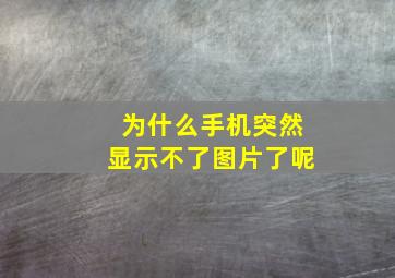 为什么手机突然显示不了图片了呢