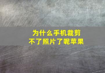 为什么手机裁剪不了照片了呢苹果