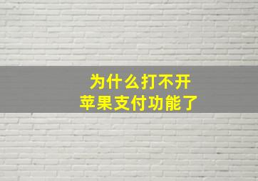 为什么打不开苹果支付功能了