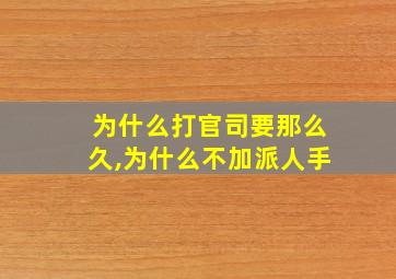 为什么打官司要那么久,为什么不加派人手