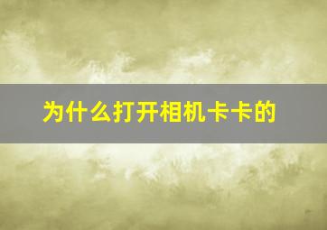 为什么打开相机卡卡的