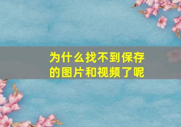 为什么找不到保存的图片和视频了呢