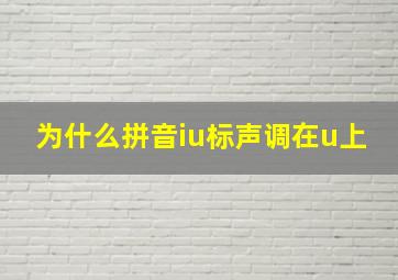 为什么拼音iu标声调在u上