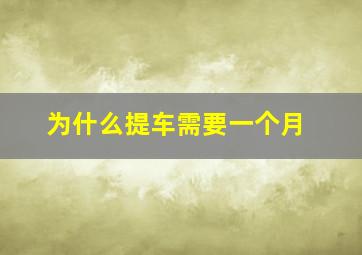 为什么提车需要一个月