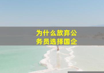 为什么放弃公务员选择国企