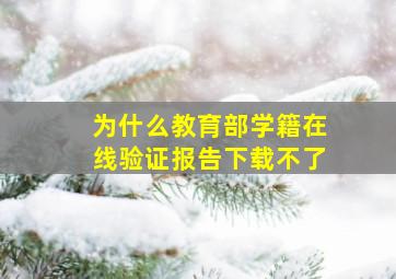 为什么教育部学籍在线验证报告下载不了