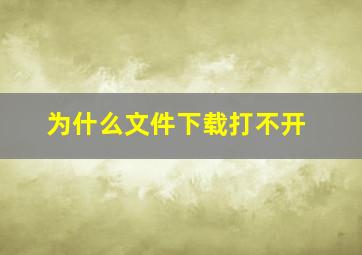 为什么文件下载打不开