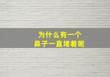 为什么有一个鼻子一直堵着呢