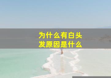 为什么有白头发原因是什么