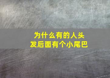 为什么有的人头发后面有个小尾巴