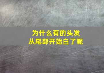 为什么有的头发从尾部开始白了呢