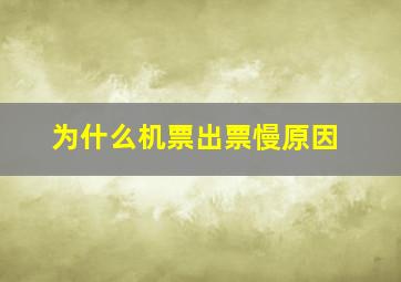 为什么机票出票慢原因