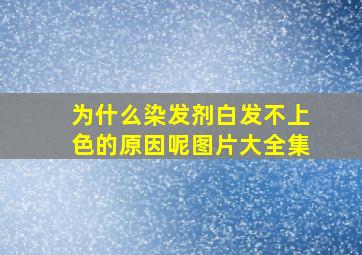 为什么染发剂白发不上色的原因呢图片大全集