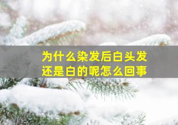 为什么染发后白头发还是白的呢怎么回事