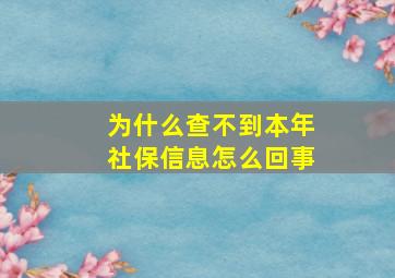 为什么查不到本年社保信息怎么回事