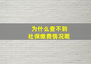 为什么查不到社保缴费情况呢