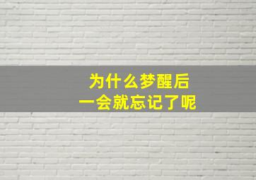 为什么梦醒后一会就忘记了呢