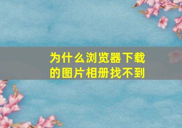 为什么浏览器下载的图片相册找不到