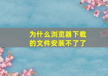 为什么浏览器下载的文件安装不了了