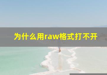 为什么用raw格式打不开