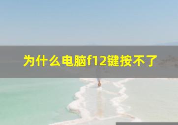 为什么电脑f12键按不了