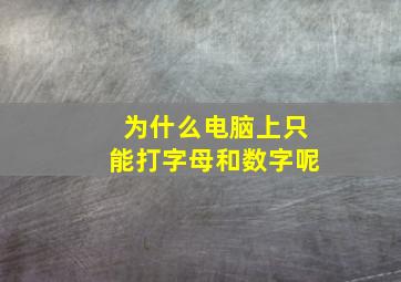 为什么电脑上只能打字母和数字呢